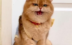 日产精品一线二线三线京东